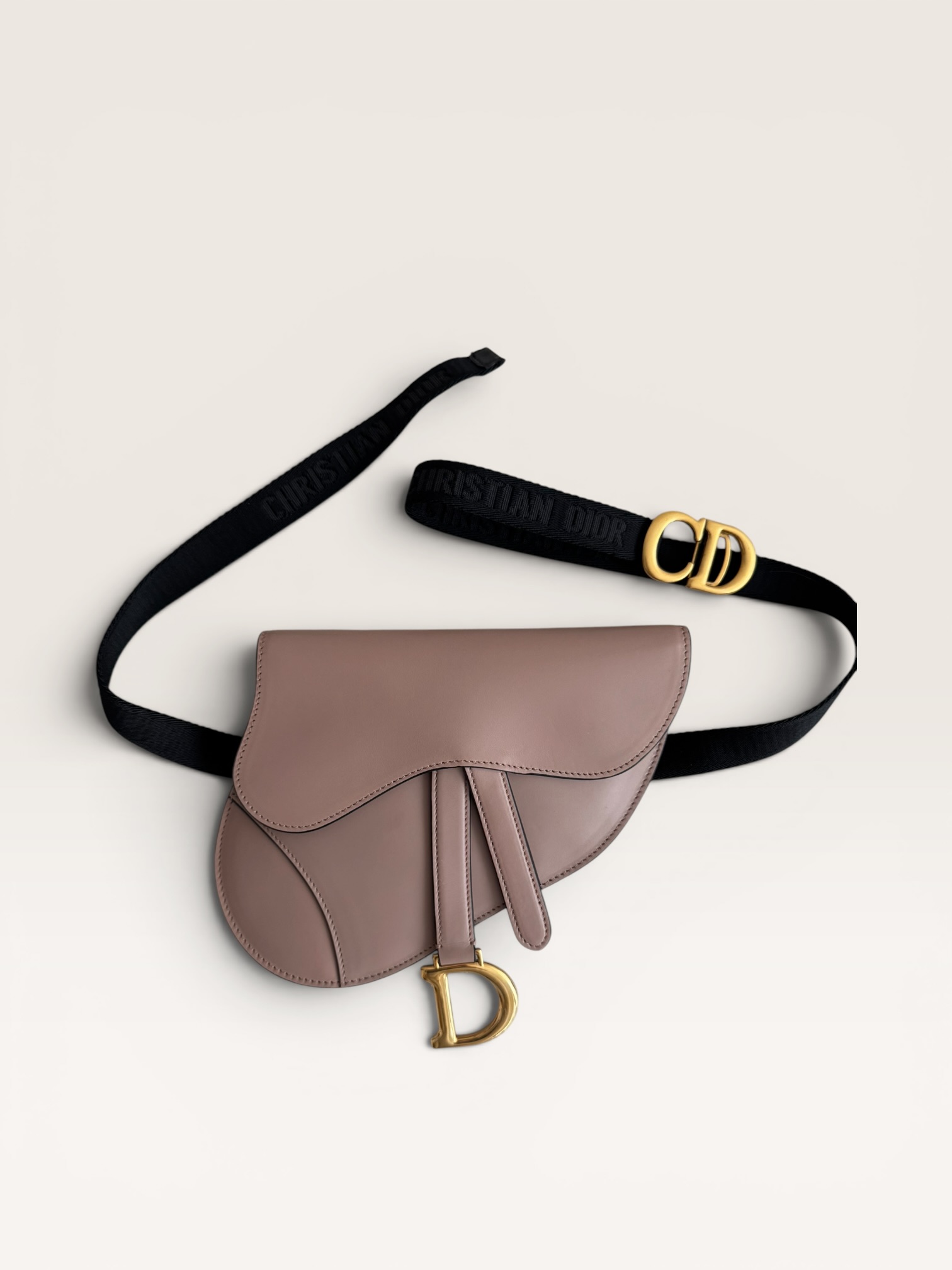 Dior Saddle